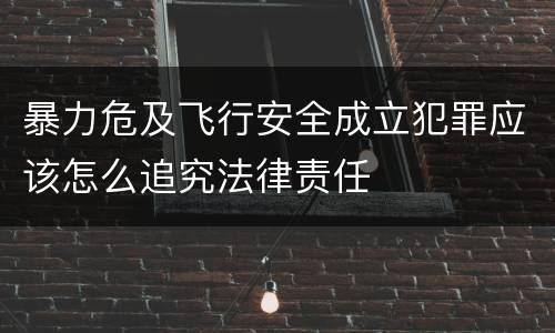 暴力危及飞行安全成立犯罪应该怎么追究法律责任