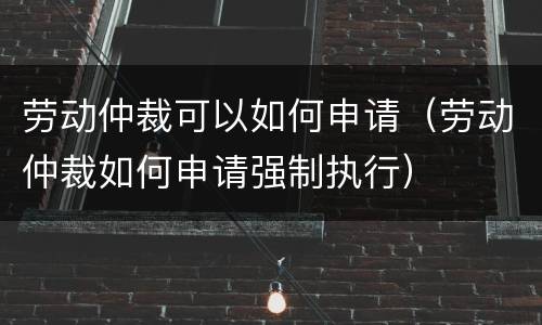 劳动仲裁可以如何申请（劳动仲裁如何申请强制执行）
