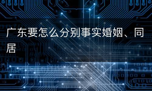 广东要怎么分别事实婚姻、同居