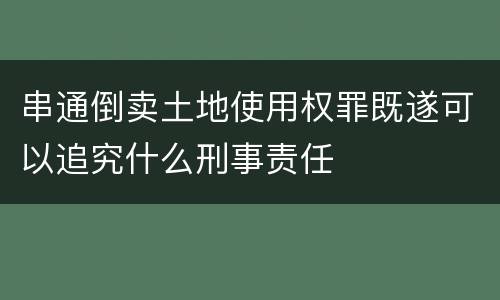 串通倒卖土地使用权罪既遂可以追究什么刑事责任