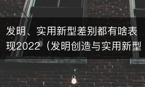 发明、实用新型差别都有啥表现2022（发明创造与实用新型的区别）