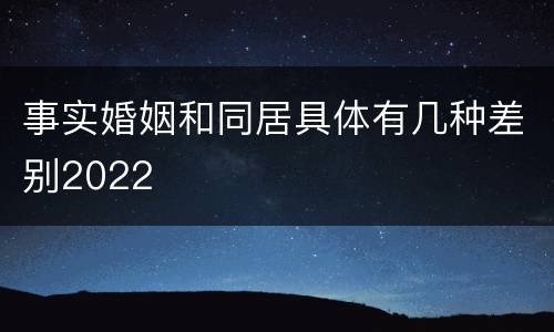 事实婚姻和同居具体有几种差别2022