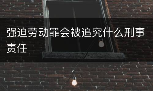 强迫劳动罪会被追究什么刑事责任