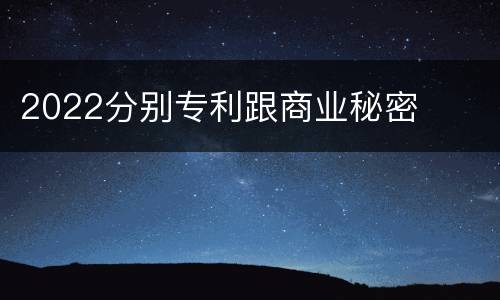 2022分别专利跟商业秘密