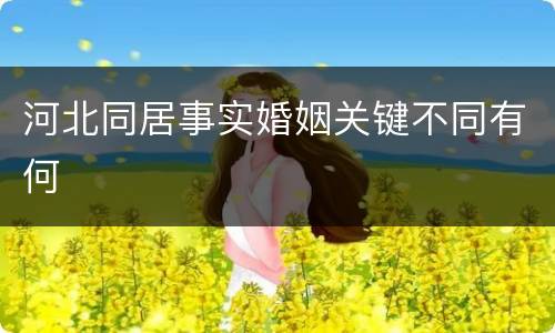 河北同居事实婚姻关键不同有何