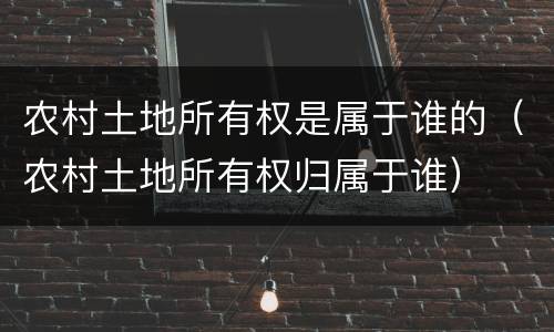 农村土地所有权是属于谁的（农村土地所有权归属于谁）