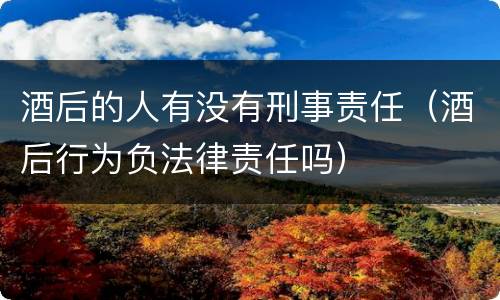 酒后的人有没有刑事责任（酒后行为负法律责任吗）