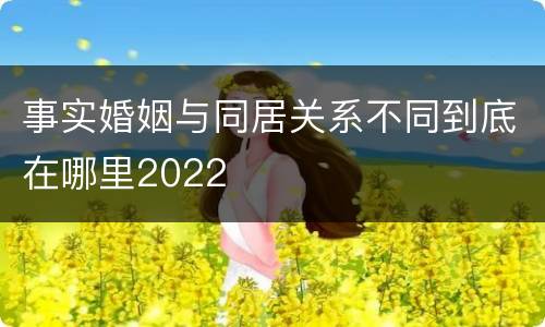 事实婚姻与同居关系不同到底在哪里2022