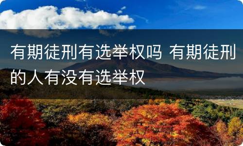 有期徒刑有选举权吗 有期徒刑的人有没有选举权
