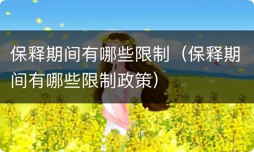 保释期间有哪些限制（保释期间有哪些限制政策）