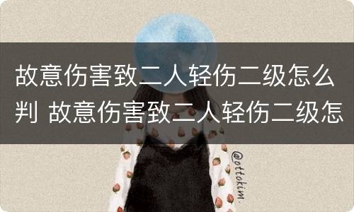 故意伤害致二人轻伤二级怎么判 故意伤害致二人轻伤二级怎么判刑