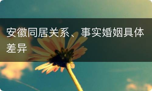 安徽同居关系、事实婚姻具体差异