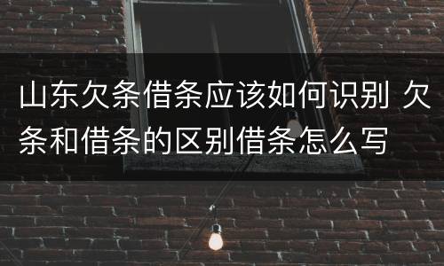 山东欠条借条应该如何识别 欠条和借条的区别借条怎么写