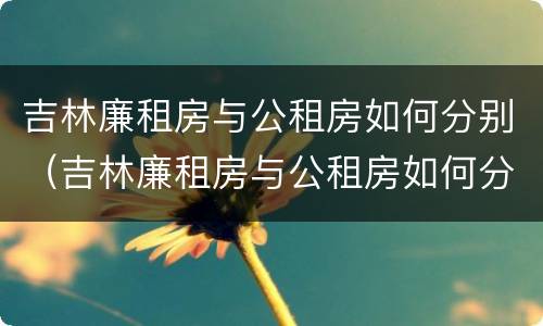 吉林廉租房与公租房如何分别（吉林廉租房与公租房如何分别出租）