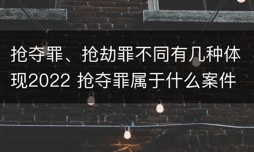 抢夺罪、抢劫罪不同有几种体现2022 抢夺罪属于什么案件
