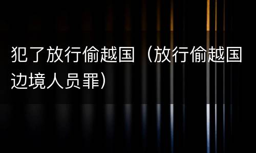 犯了放行偷越国（放行偷越国边境人员罪）