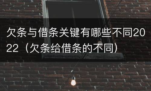 欠条与借条关键有哪些不同2022（欠条给借条的不同）