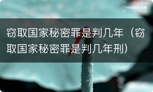 窃取国家秘密罪是判几年（窃取国家秘密罪是判几年刑）