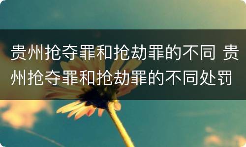 贵州抢夺罪和抢劫罪的不同 贵州抢夺罪和抢劫罪的不同处罚