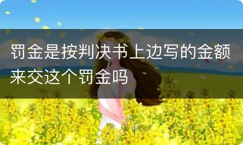 罚金是按判决书上边写的金额来交这个罚金吗