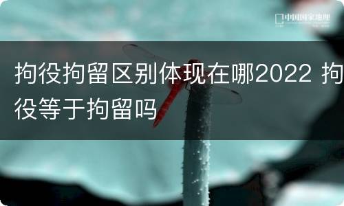 拘役拘留区别体现在哪2022 拘役等于拘留吗