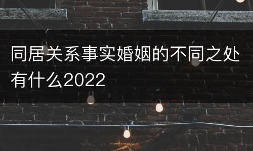 同居关系事实婚姻的不同之处有什么2022