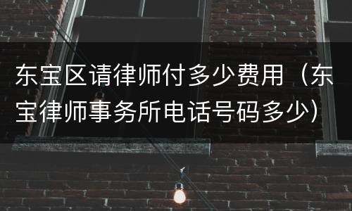 东宝区请律师付多少费用（东宝律师事务所电话号码多少）