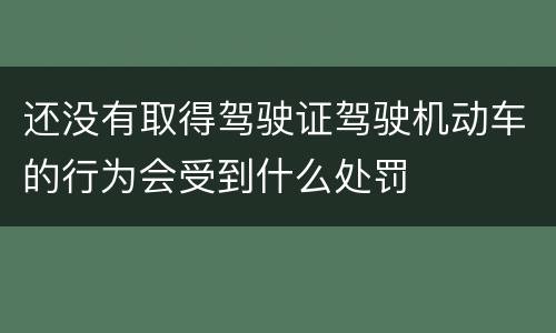 还没有取得驾驶证驾驶机动车的行为会受到什么处罚