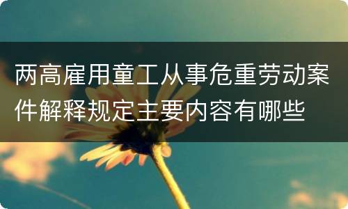 两高雇用童工从事危重劳动案件解释规定主要内容有哪些