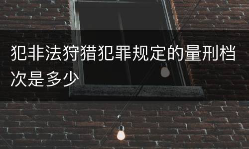 犯非法狩猎犯罪规定的量刑档次是多少