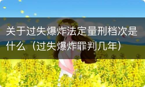 关于过失爆炸法定量刑档次是什么（过失爆炸罪判几年）