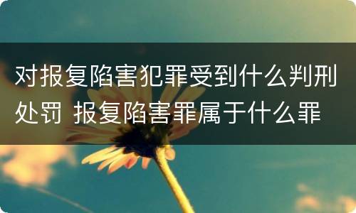 对报复陷害犯罪受到什么判刑处罚 报复陷害罪属于什么罪