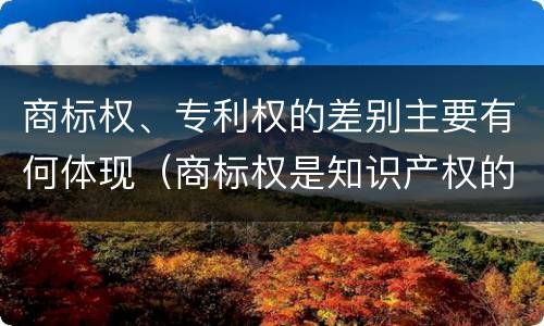 商标权、专利权的差别主要有何体现（商标权是知识产权的一种吗）