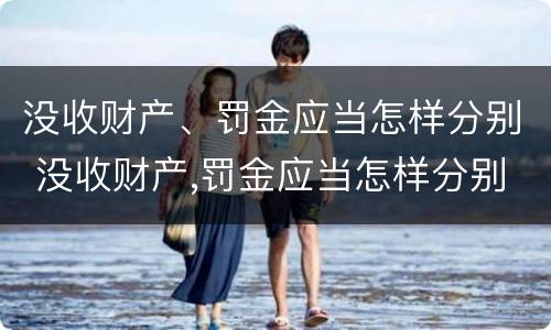 没收财产、罚金应当怎样分别 没收财产,罚金应当怎样分别处理