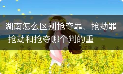 湖南怎么区别抢夺罪、抢劫罪 抢劫和抢夺哪个判的重