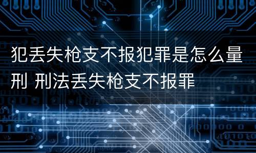 犯丢失枪支不报犯罪是怎么量刑 刑法丢失枪支不报罪