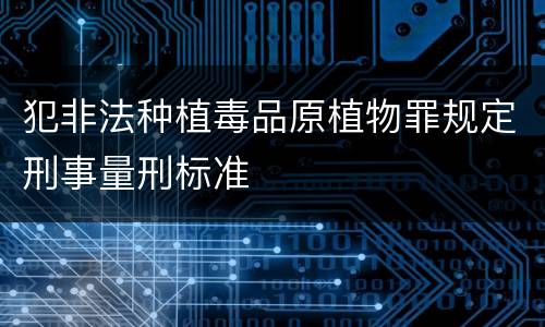 犯非法种植毒品原植物罪规定刑事量刑标准