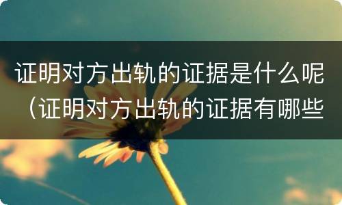 证明对方出轨的证据是什么呢（证明对方出轨的证据有哪些）