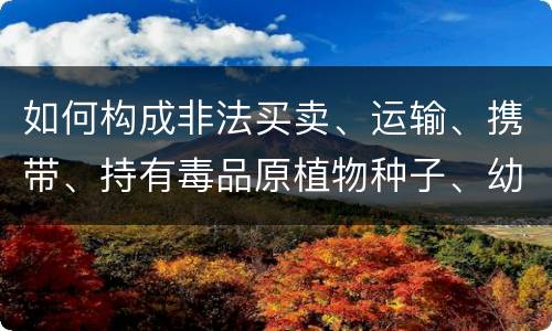 如何构成非法买卖、运输、携带、持有毒品原植物种子、幼苗罪