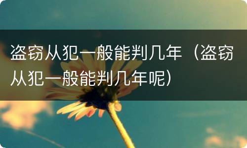 盗窃从犯一般能判几年（盗窃从犯一般能判几年呢）