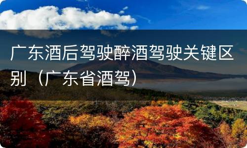 广东酒后驾驶醉酒驾驶关键区别（广东省酒驾）