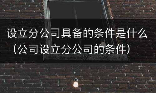 设立分公司具备的条件是什么（公司设立分公司的条件）