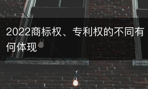 2022商标权、专利权的不同有何体现