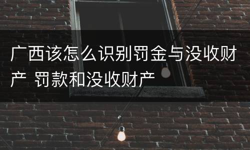 广西该怎么识别罚金与没收财产 罚款和没收财产