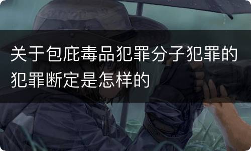 关于包庇毒品犯罪分子犯罪的犯罪断定是怎样的