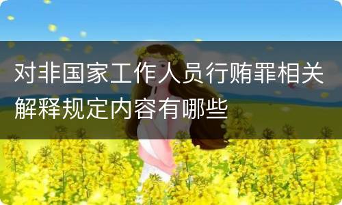 对非国家工作人员行贿罪相关解释规定内容有哪些