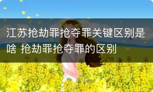 江苏抢劫罪抢夺罪关键区别是啥 抢劫罪抢夺罪的区别