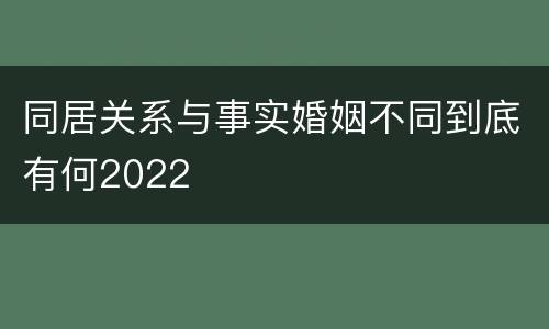 同居关系与事实婚姻不同到底有何2022