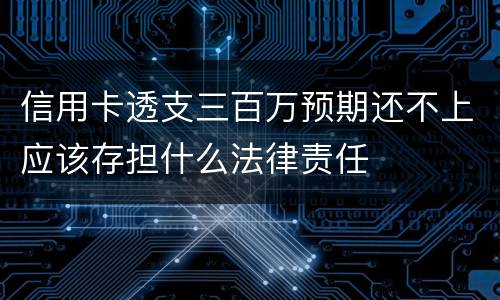 信用卡透支三百万预期还不上应该存担什么法律责任