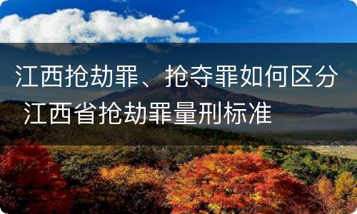 江西抢劫罪、抢夺罪如何区分 江西省抢劫罪量刑标准